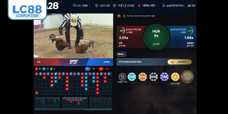 Giao diện trực tiếp đá gà hiện đại, dễ sử dụng