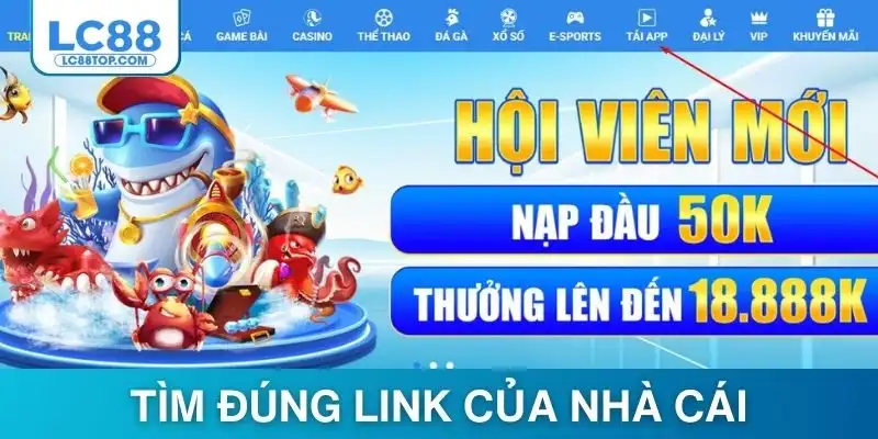 Người chơi cần tìm đúng link chính thức của nhà cái khi cài đặt
